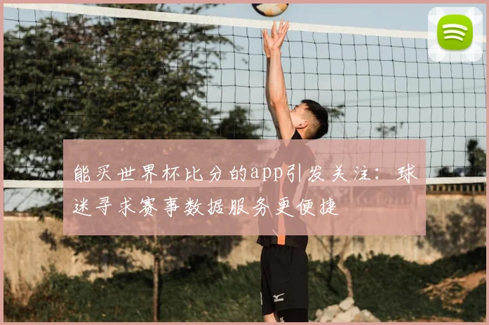能买世界杯比分的app引发关注：球迷寻求赛事数据服务更便捷