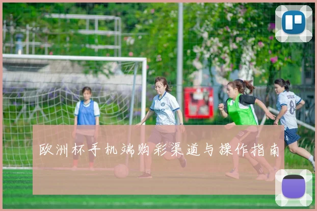 欧洲杯手机端购彩渠道与操作指南