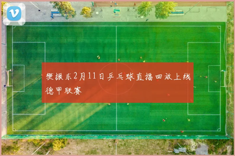 樊振东2月11日乒乓球直播回放上线德甲联赛