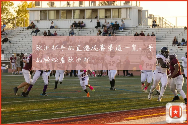 欧洲杯手机直播观赛渠道一览，手机轻松看欧洲杯