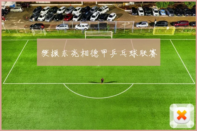樊振东亮相德甲乒乓球联赛