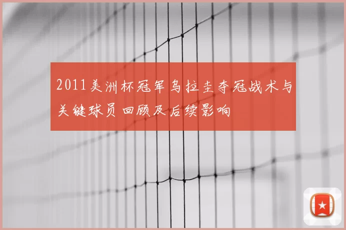 2011美洲杯冠军乌拉圭夺冠战术与关键球员回顾及后续影响