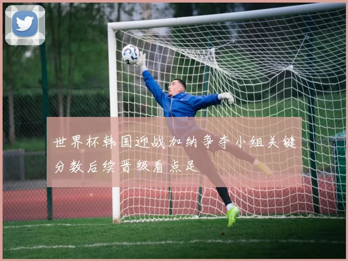 世界杯韩国迎战加纳争夺小组关键分数后续晋级看点足