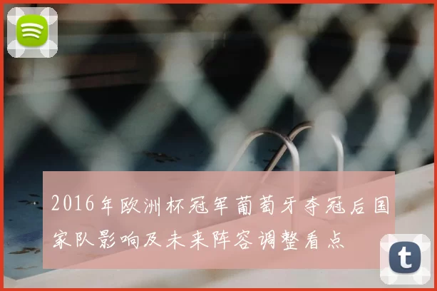 2016年欧洲杯冠军葡萄牙夺冠后国家队影响及未来阵容调整看点